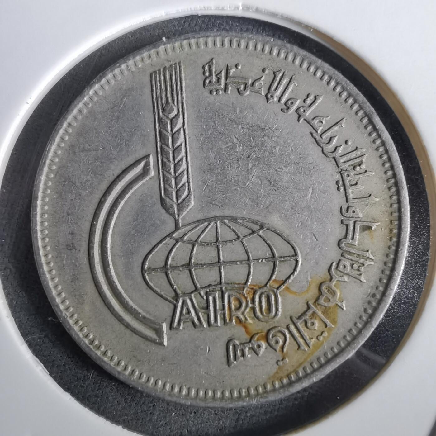 沼泽如烟--第965场 埃及