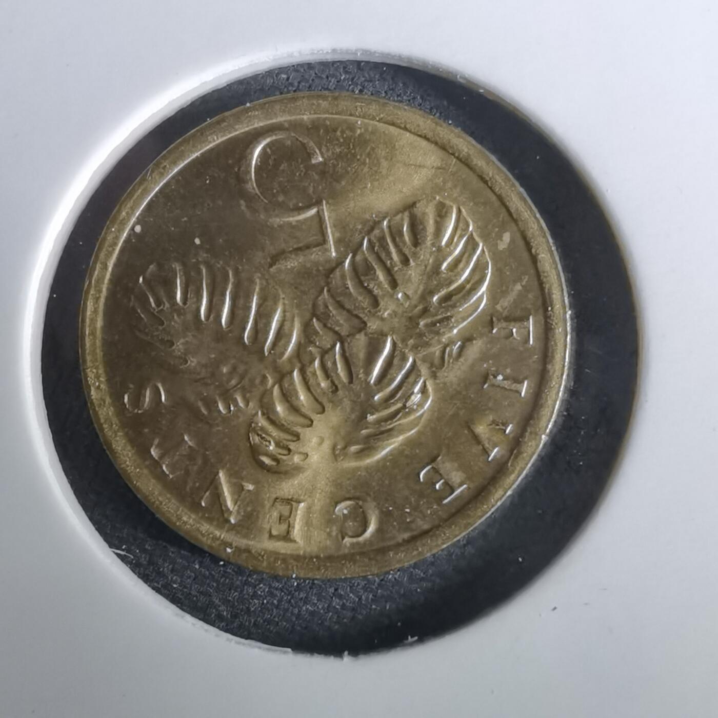 沼泽如烟--第965场