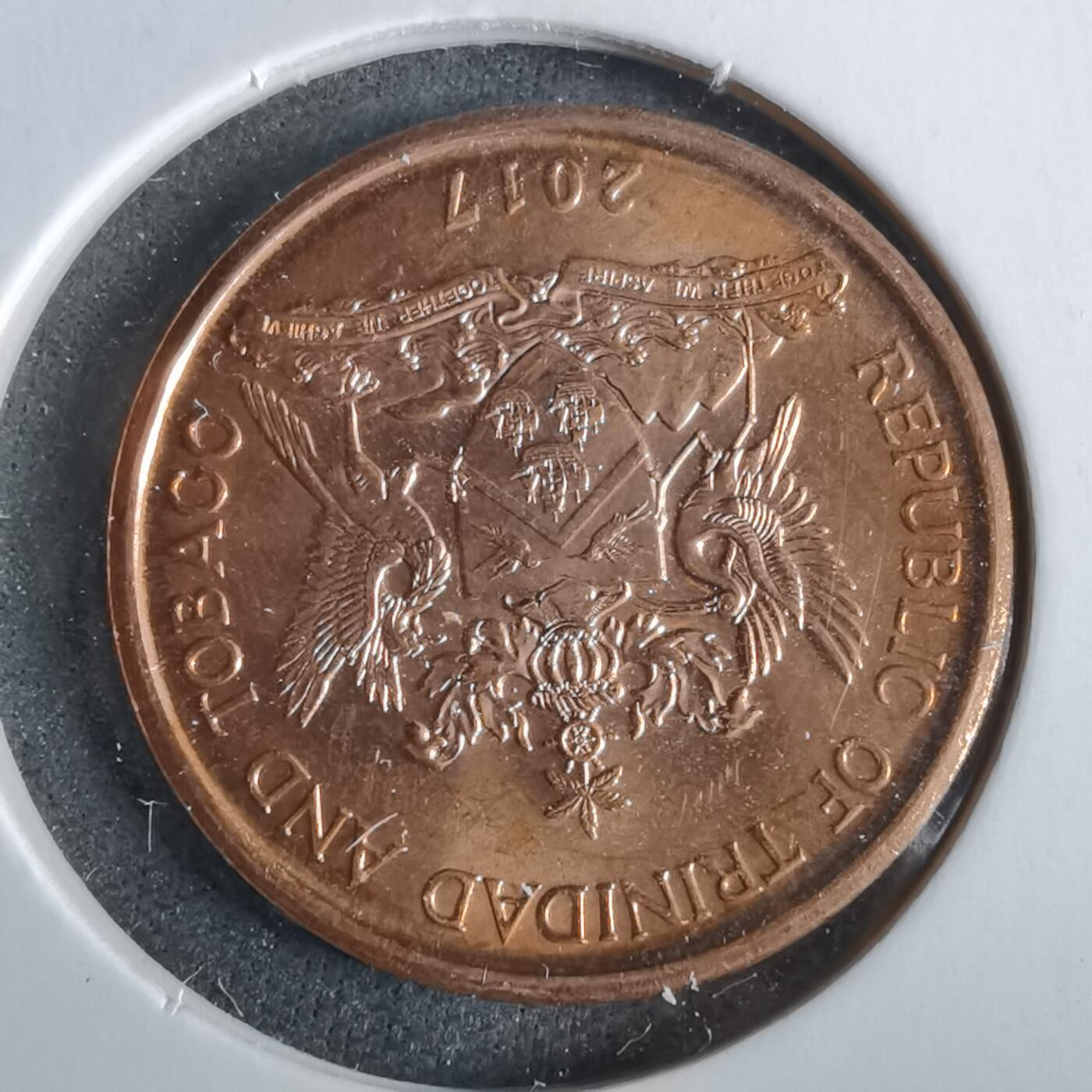 沼泽如烟--第963场