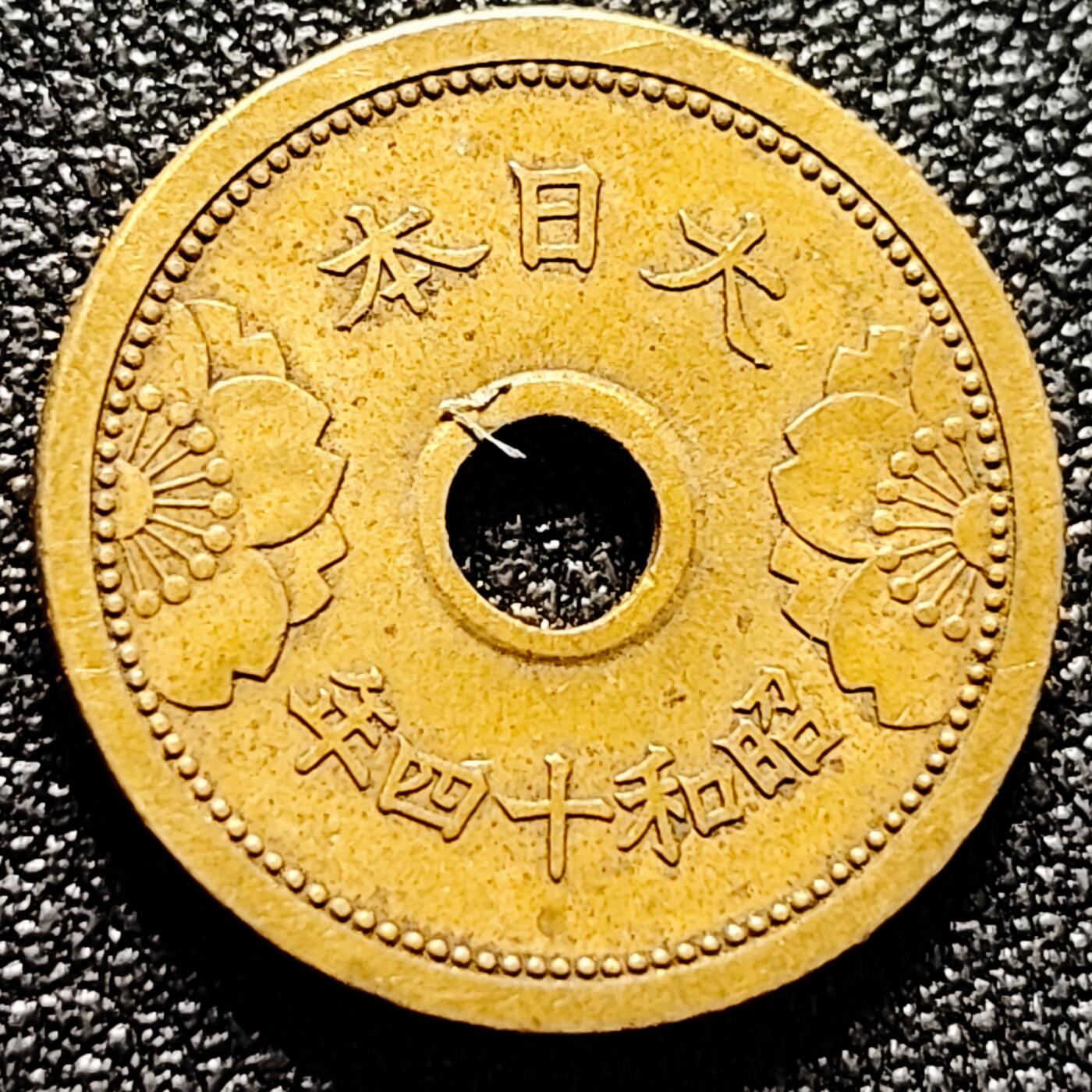 泉币菌-第171场- 精品福利场 。