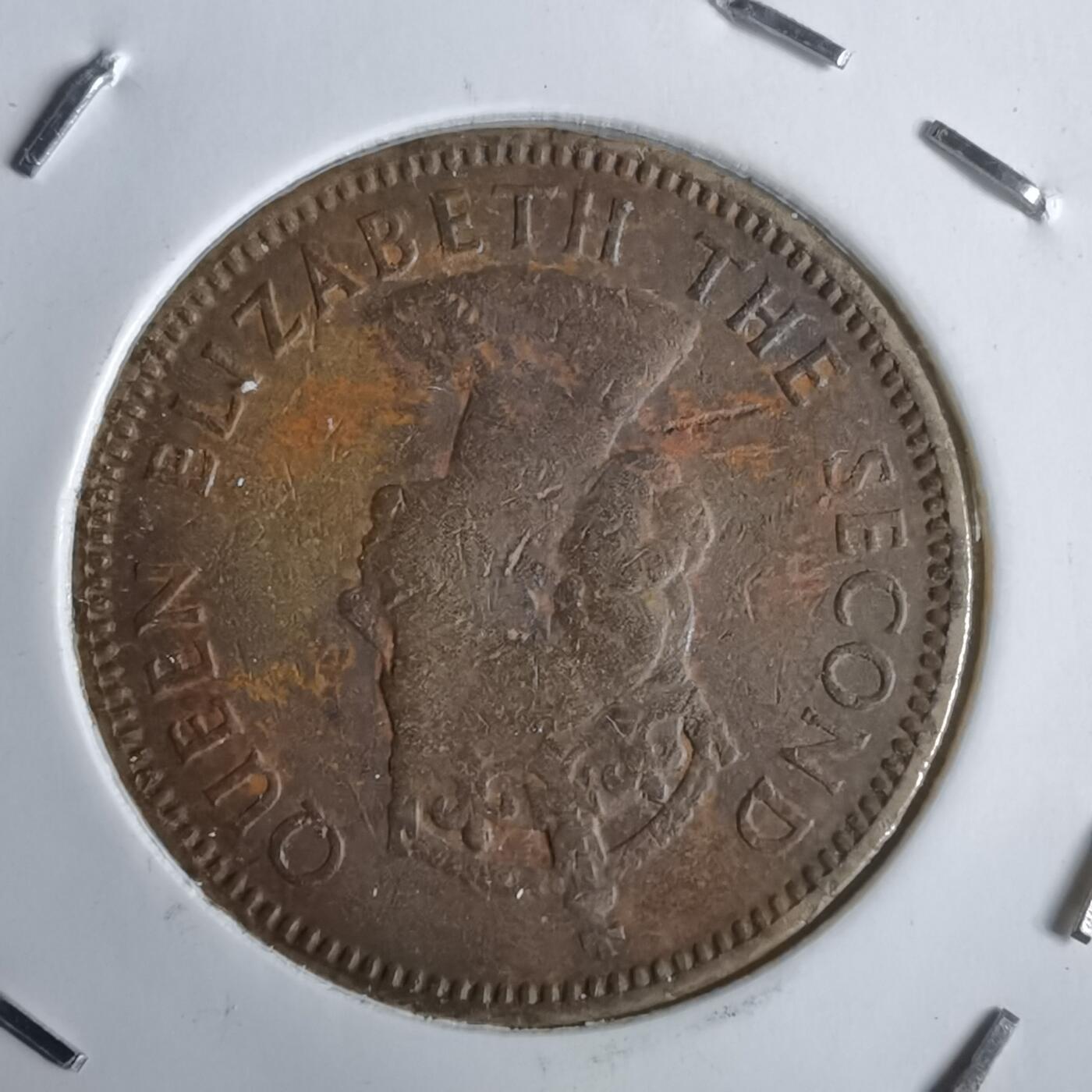 沼泽如烟--第963场 香港1959年一毫