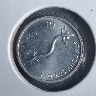 沼泽如烟--第963场 - 斯洛文尼亚1993年一分