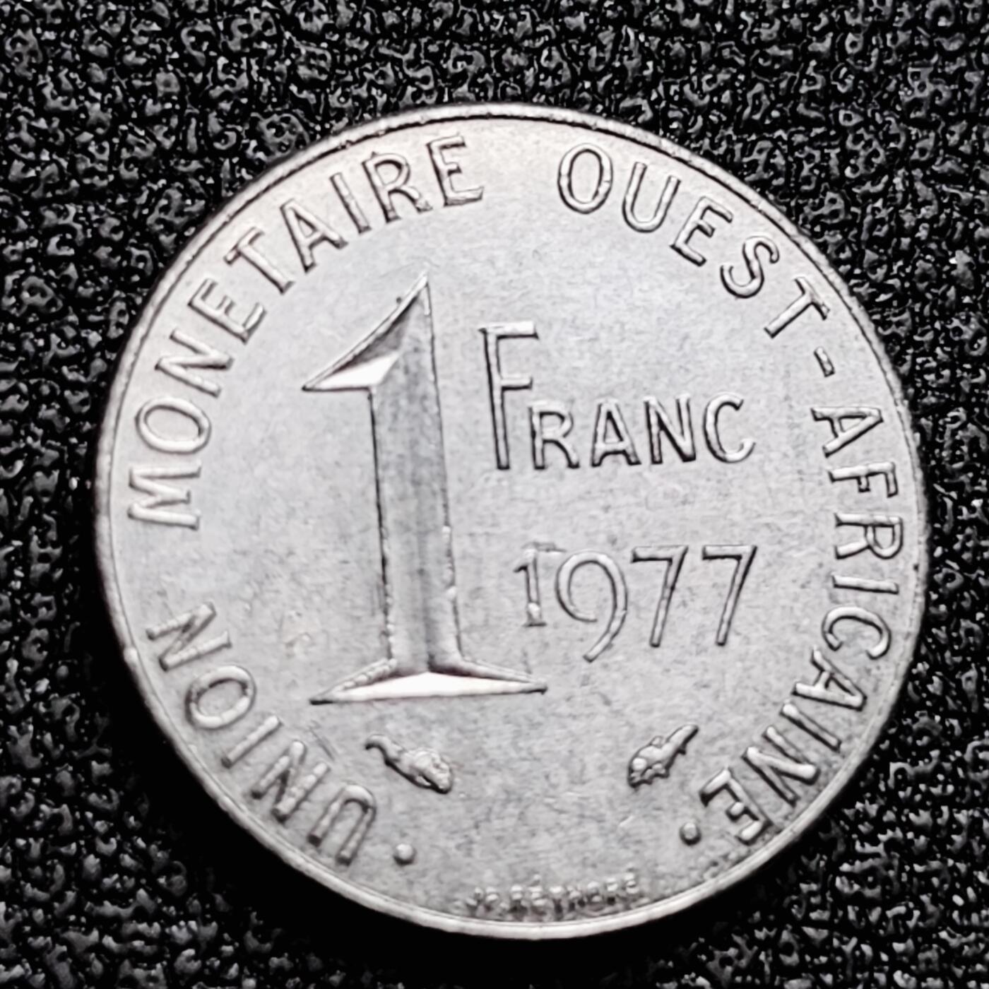 泉币菌-第171场- 精品福利场 。