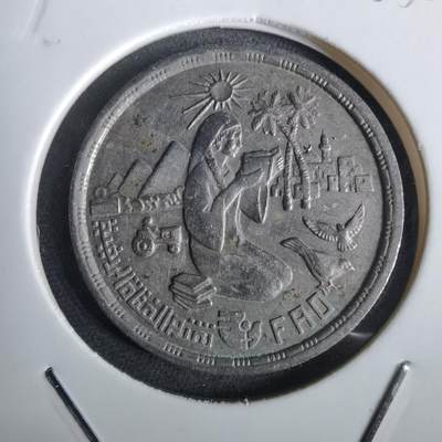 沼泽如烟--第965场 - 埃及