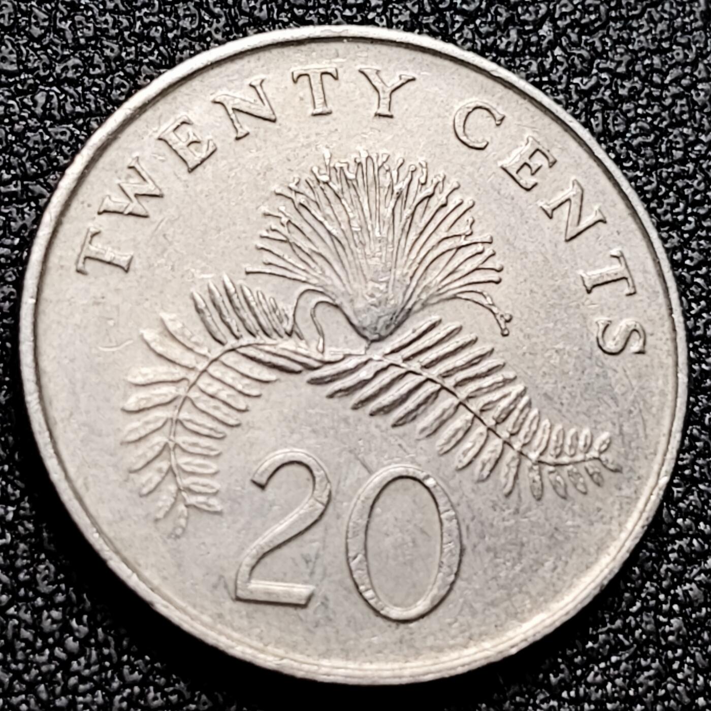 泉币菌-第171场- 精品福利场 。