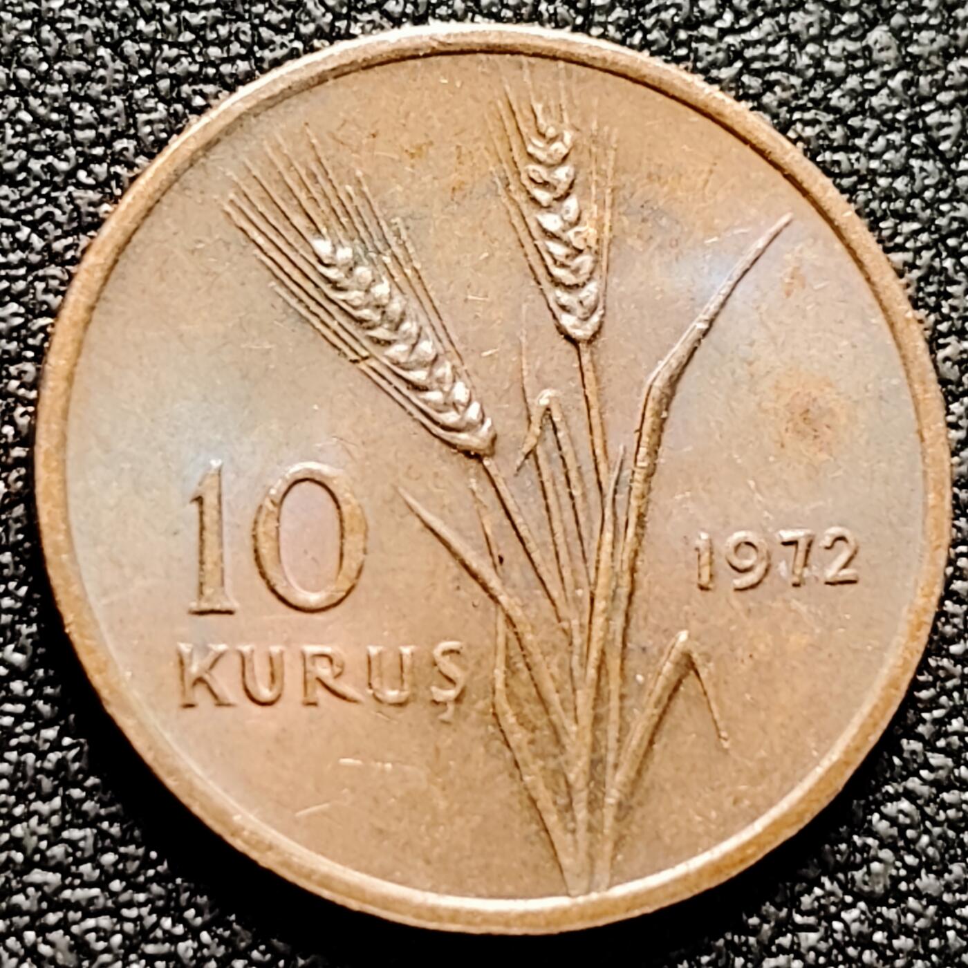 泉币菌-第171场- 精品福利场 。