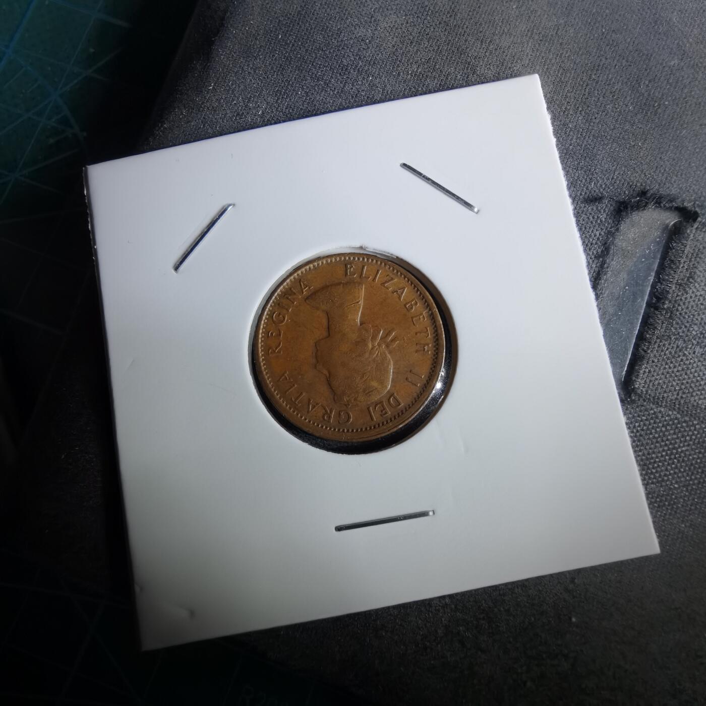 沼泽如烟--第965场