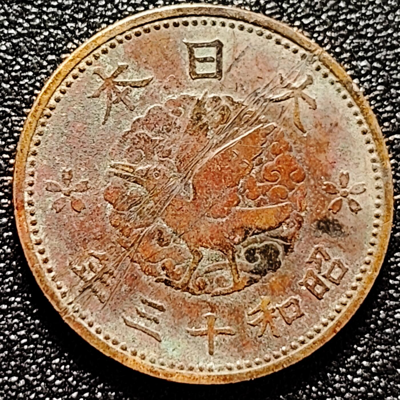 泉币菌-第171场- 精品福利场 。