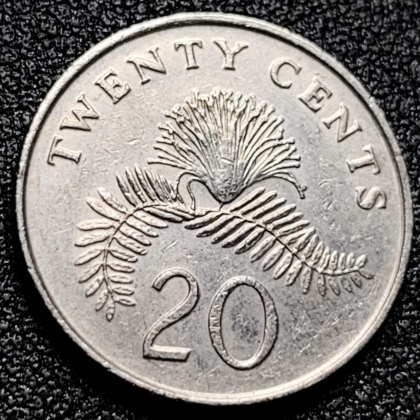 泉币菌-第171场- 精品福利场 。