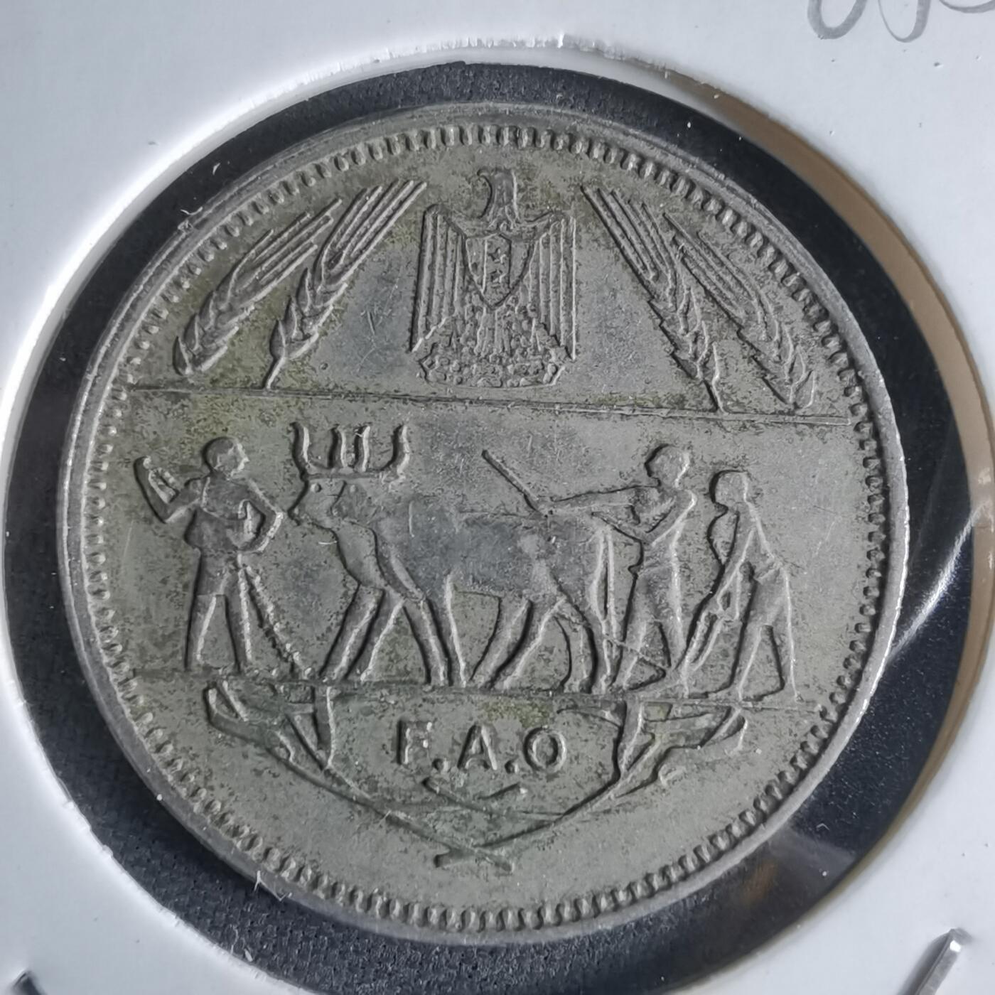 沼泽如烟--第965场