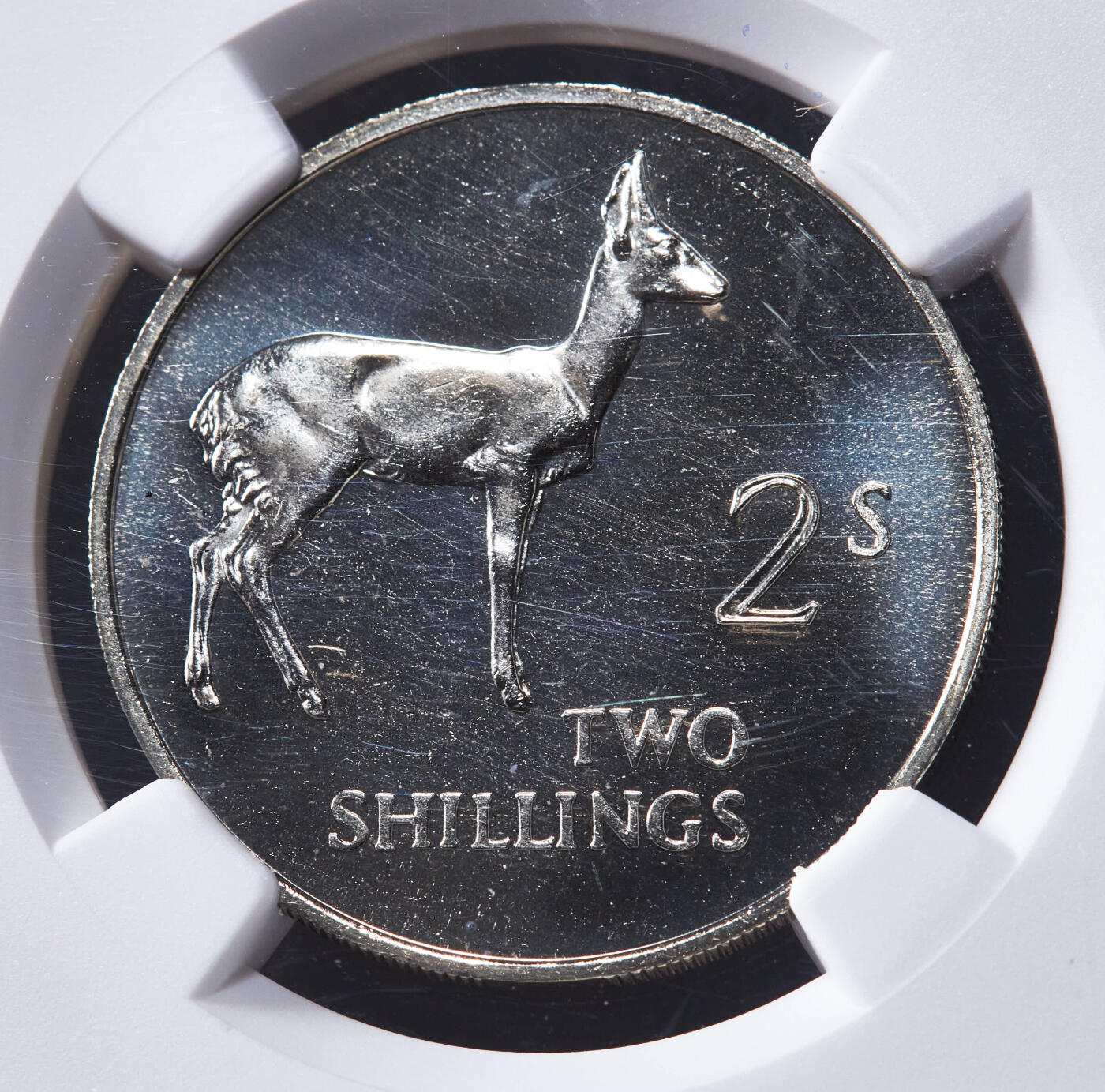 【俄甄集藏】“万象更新、马呈祥瑞”迎新春俄甄精品场-2026年(047)01-21 星期三 晚 19:30 全场包邮 赞比亚1964年动物国徽版精制1、2先令镍币2枚一组，NGC PF66/67 CAMEO，精制稀有，发行量5000枚