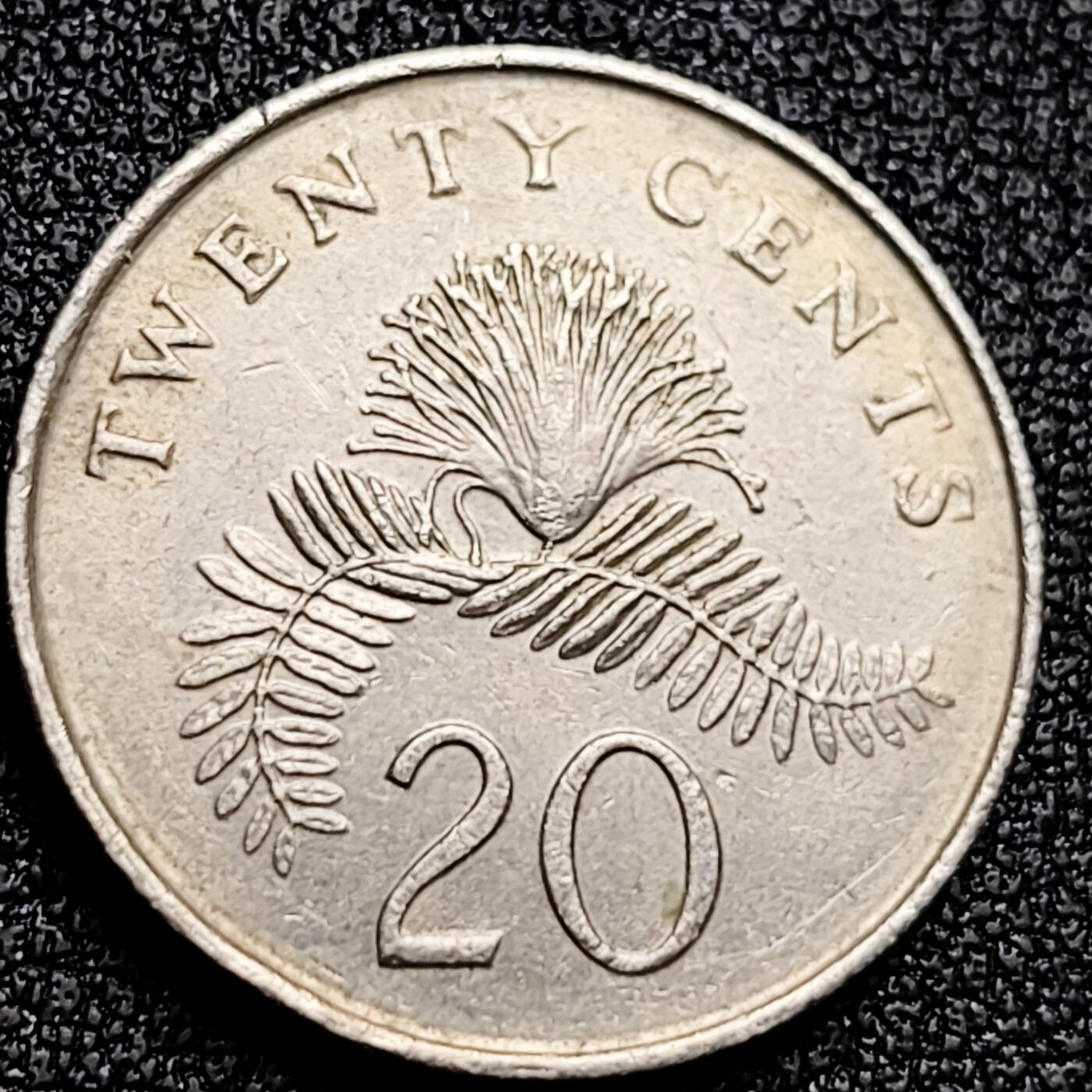 泉币菌-第171场- 精品福利场 。