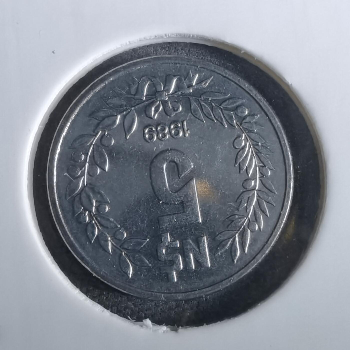 沼泽如烟--第965场