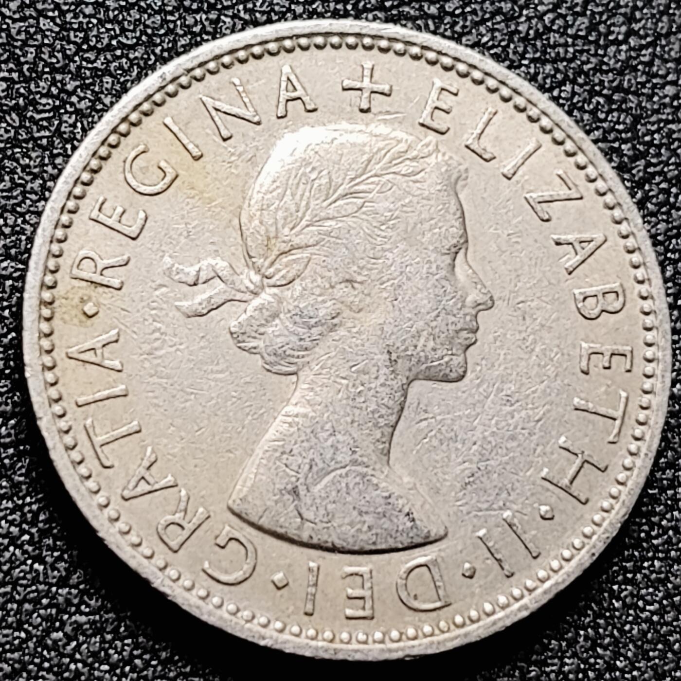 泉币菌-第171场- 精品福利场 。