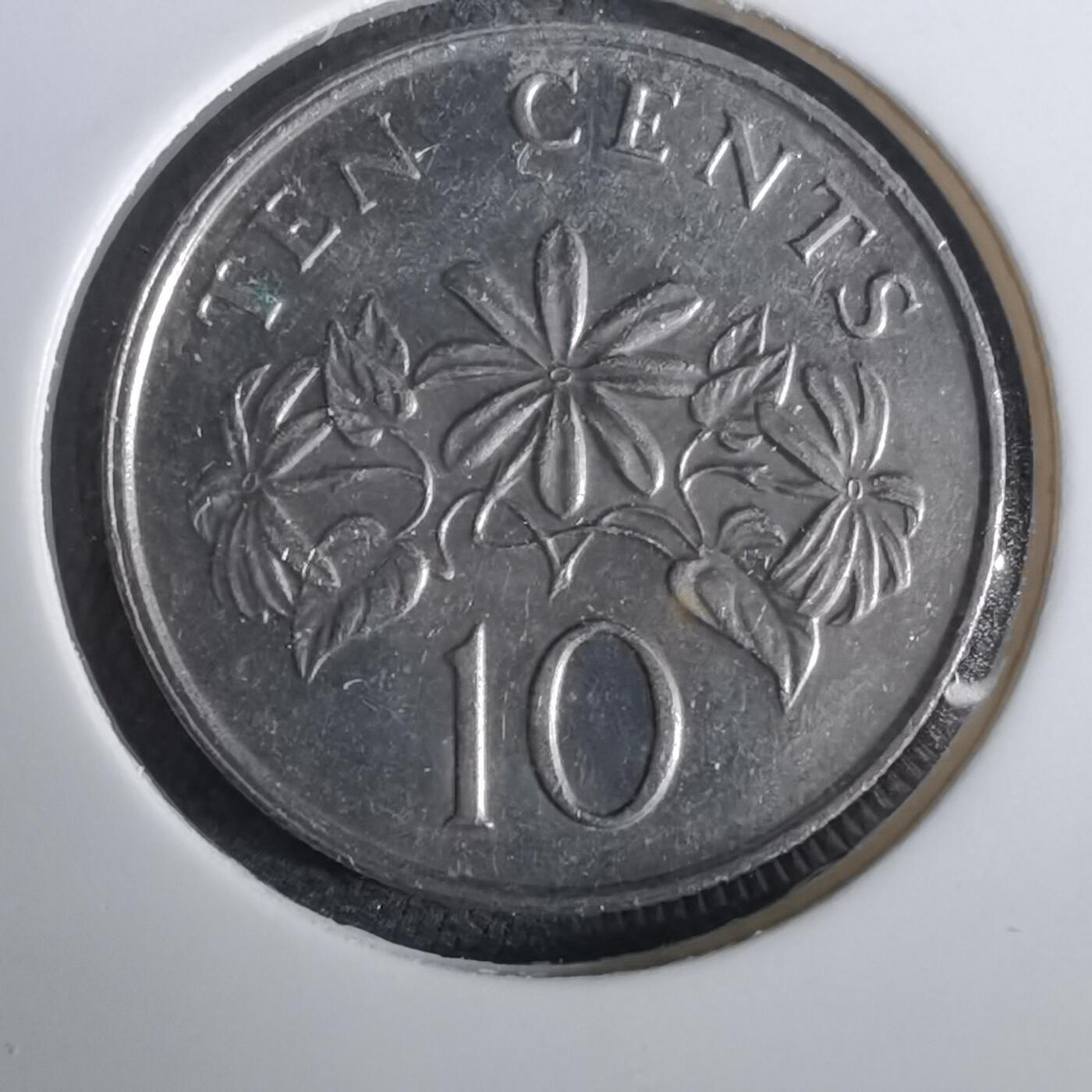 沼泽如烟--第965场