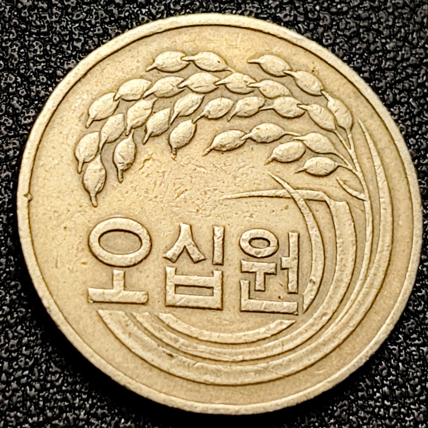 泉币菌-第171场- 精品福利场 。