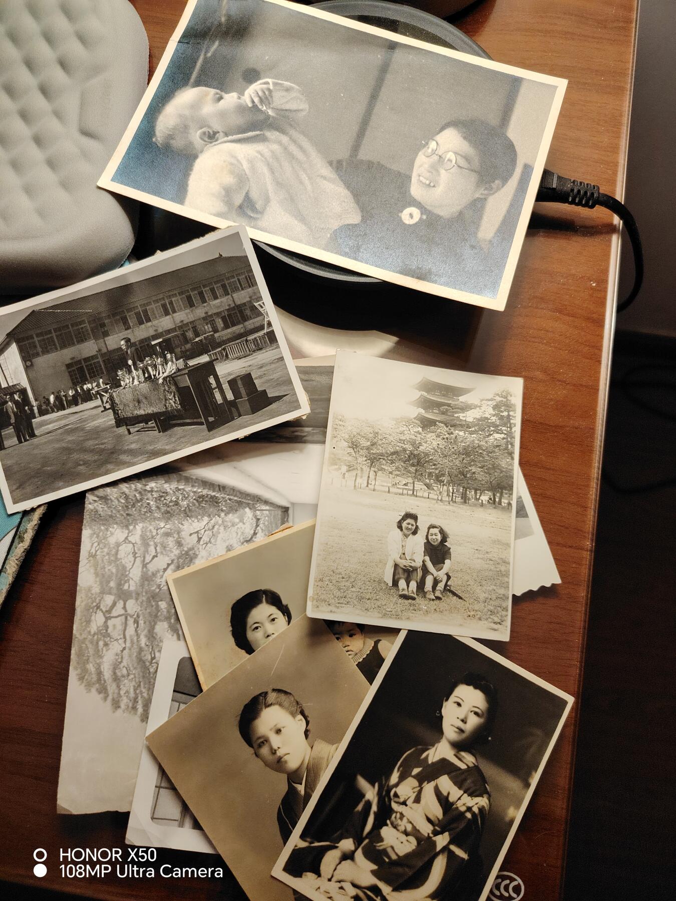 城南花开💐85场 照片一堆