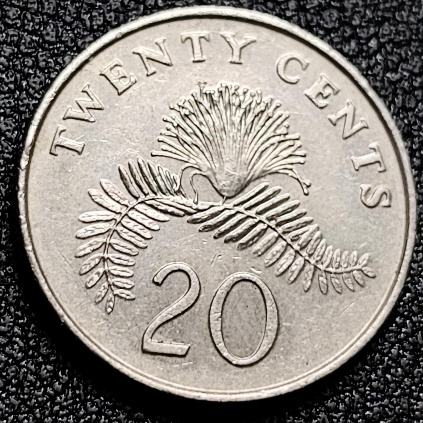 泉币菌-第171场- 精品福利场 。