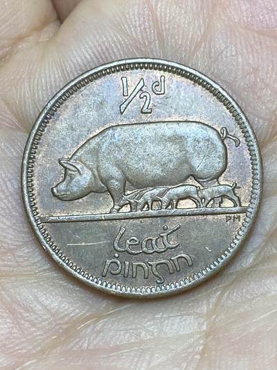 2026年第十场(总第一百七十九场）外国好品散币场(免佣金) - 爱尔兰🇮🇪1966年1/2便士(共和国第一套)