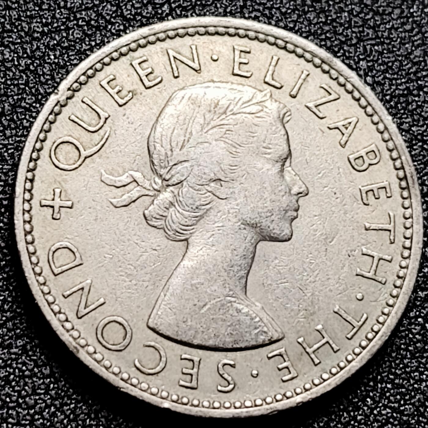 泉币菌-第171场- 精品福利场 。