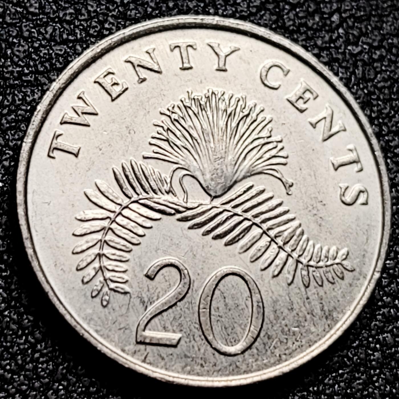 泉币菌-第171场- 精品福利场 。