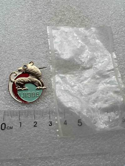 南京小老虎 - 南京小老虎