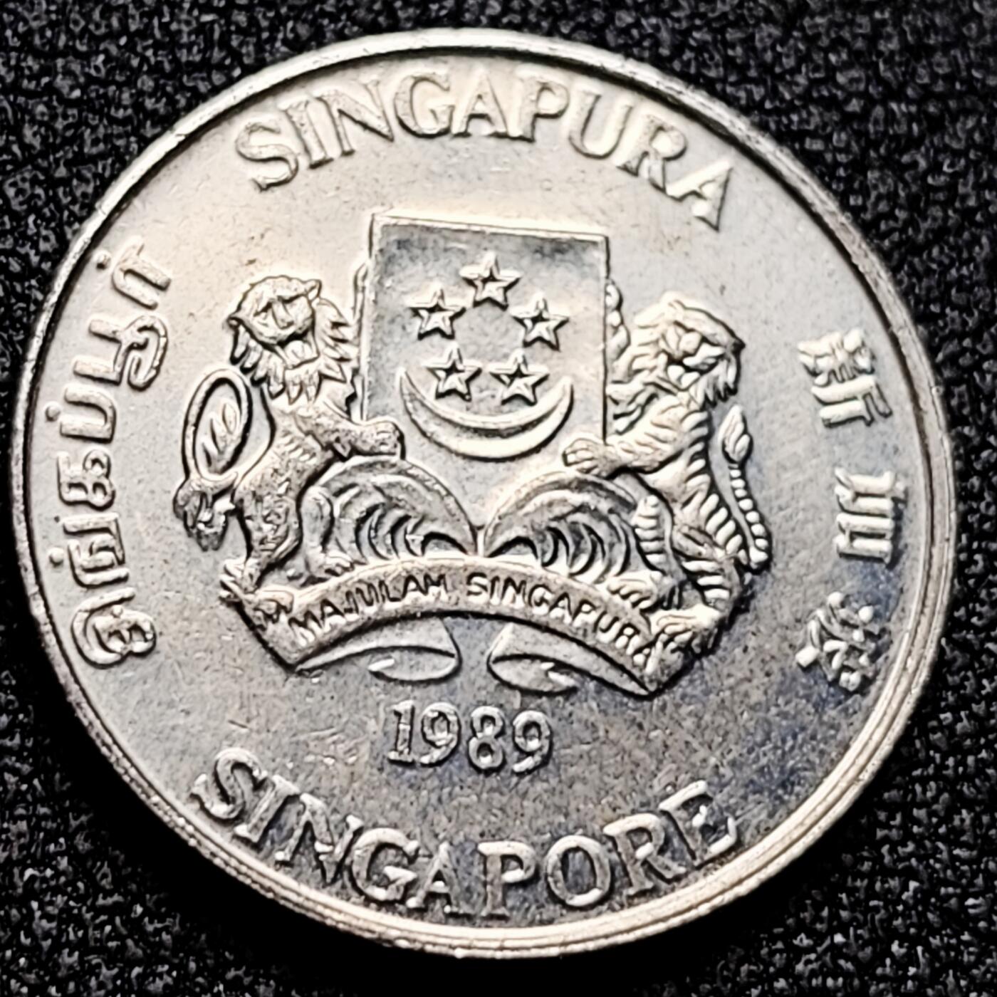 泉币菌-第171场- 精品福利场 。