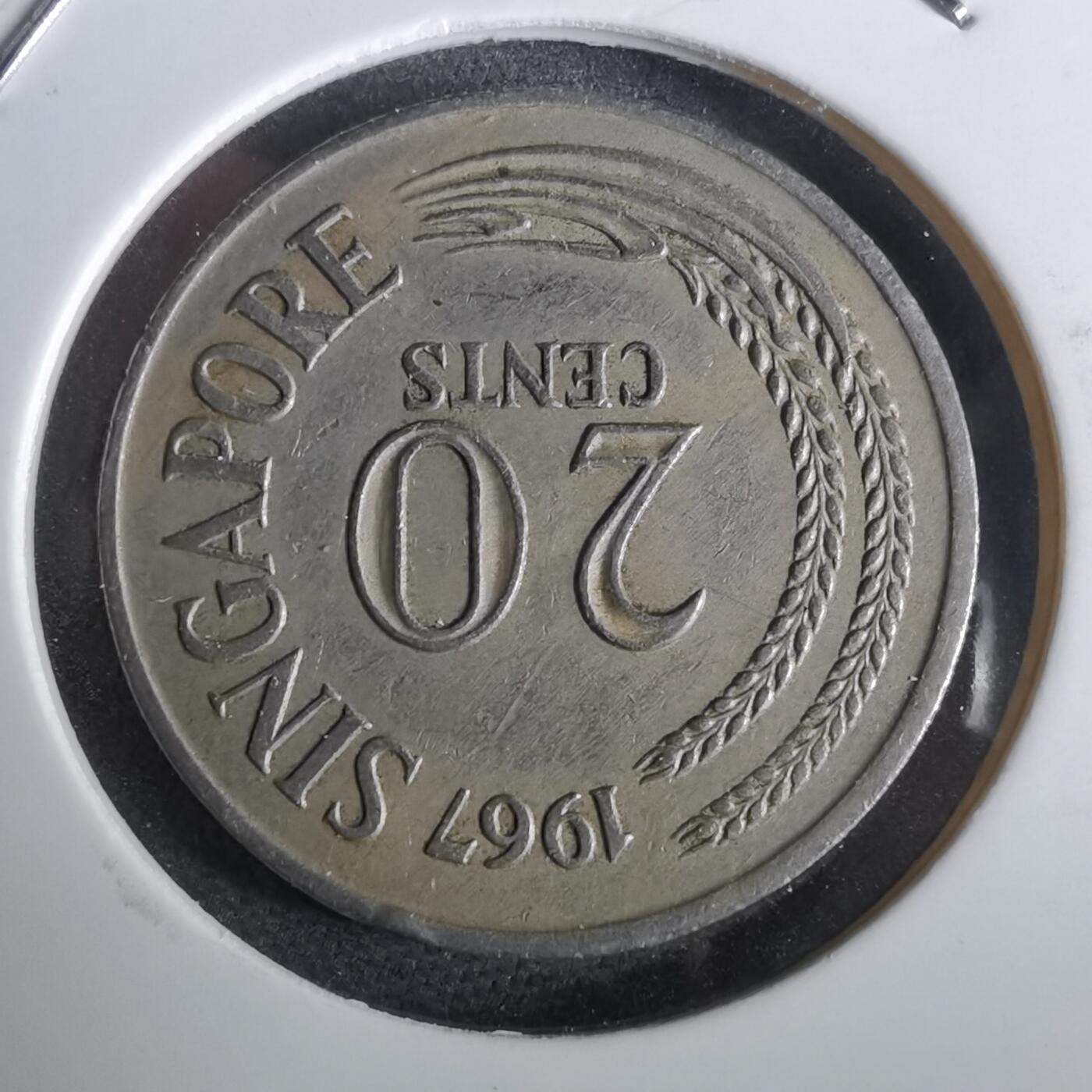 沼泽如烟--第965场