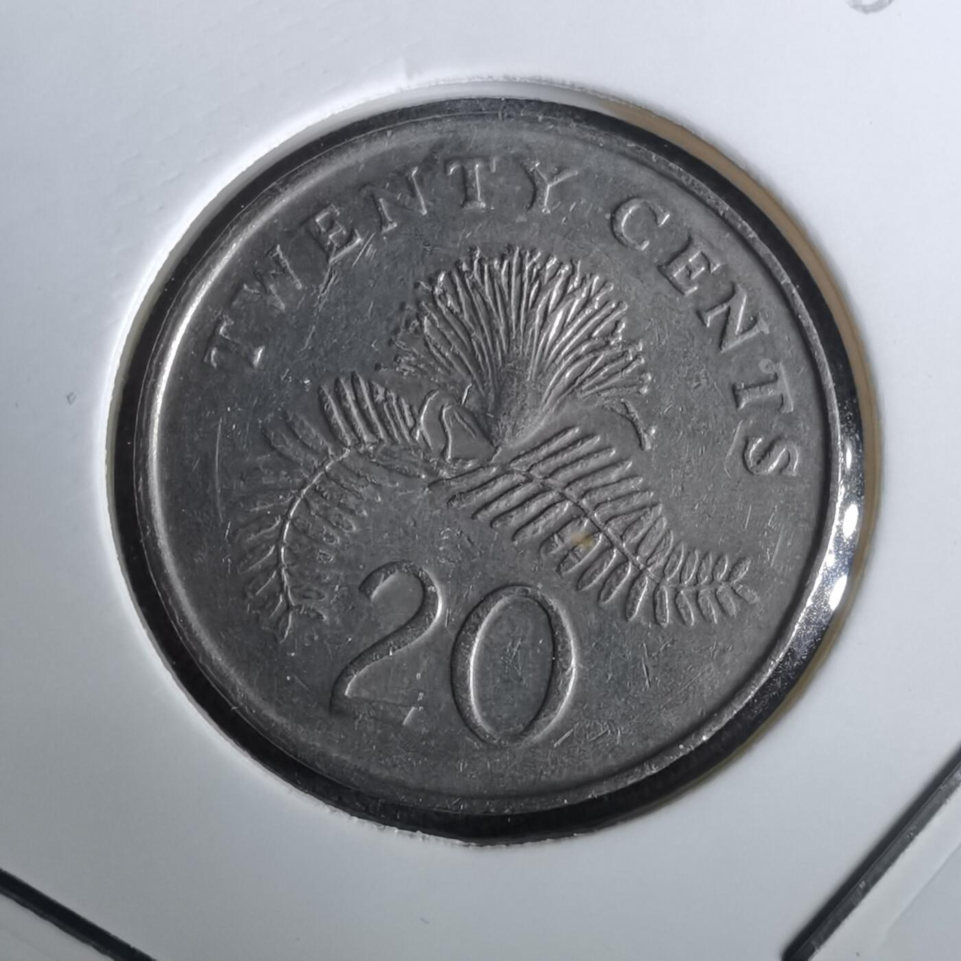 沼泽如烟--第965场