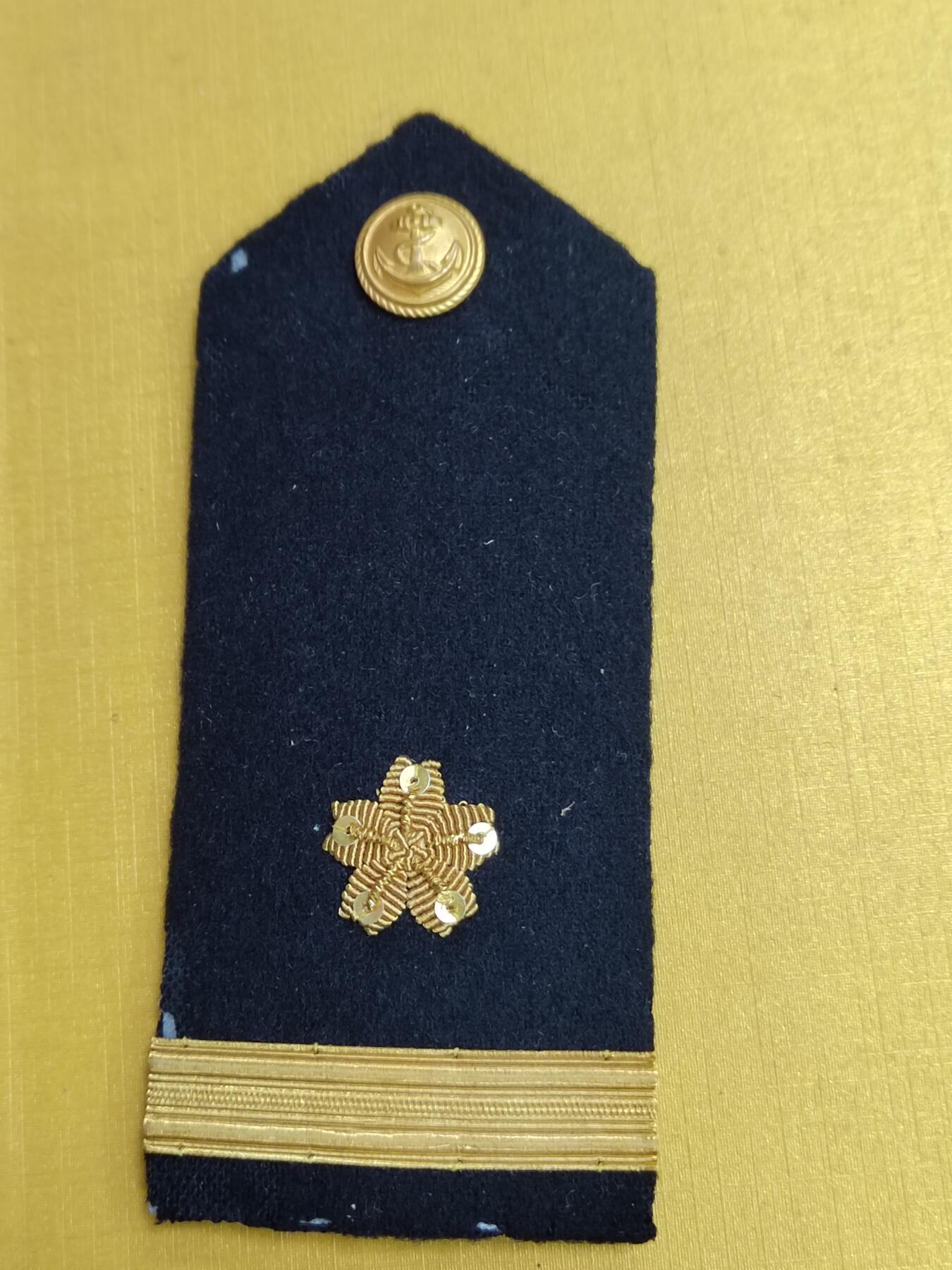 PCAI钱币  17-716  纪念章证章杂項专场 肩章一副