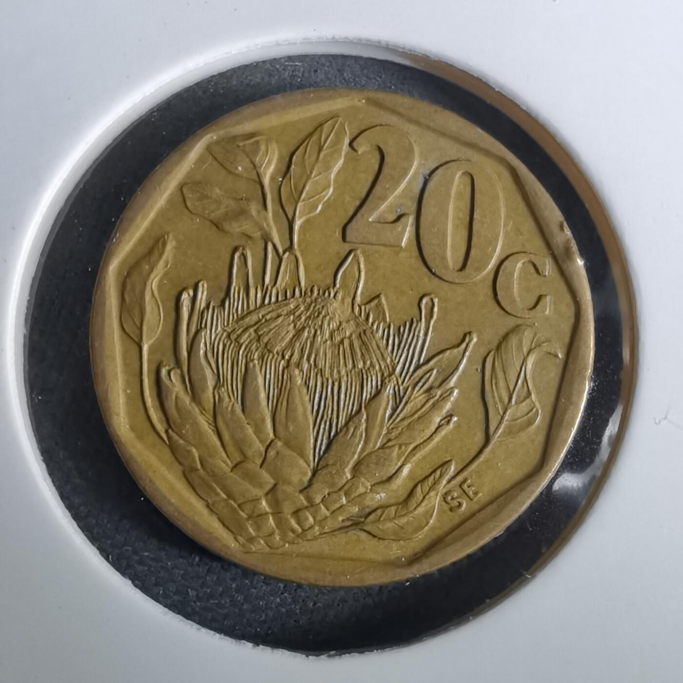 沼泽如烟--第965场