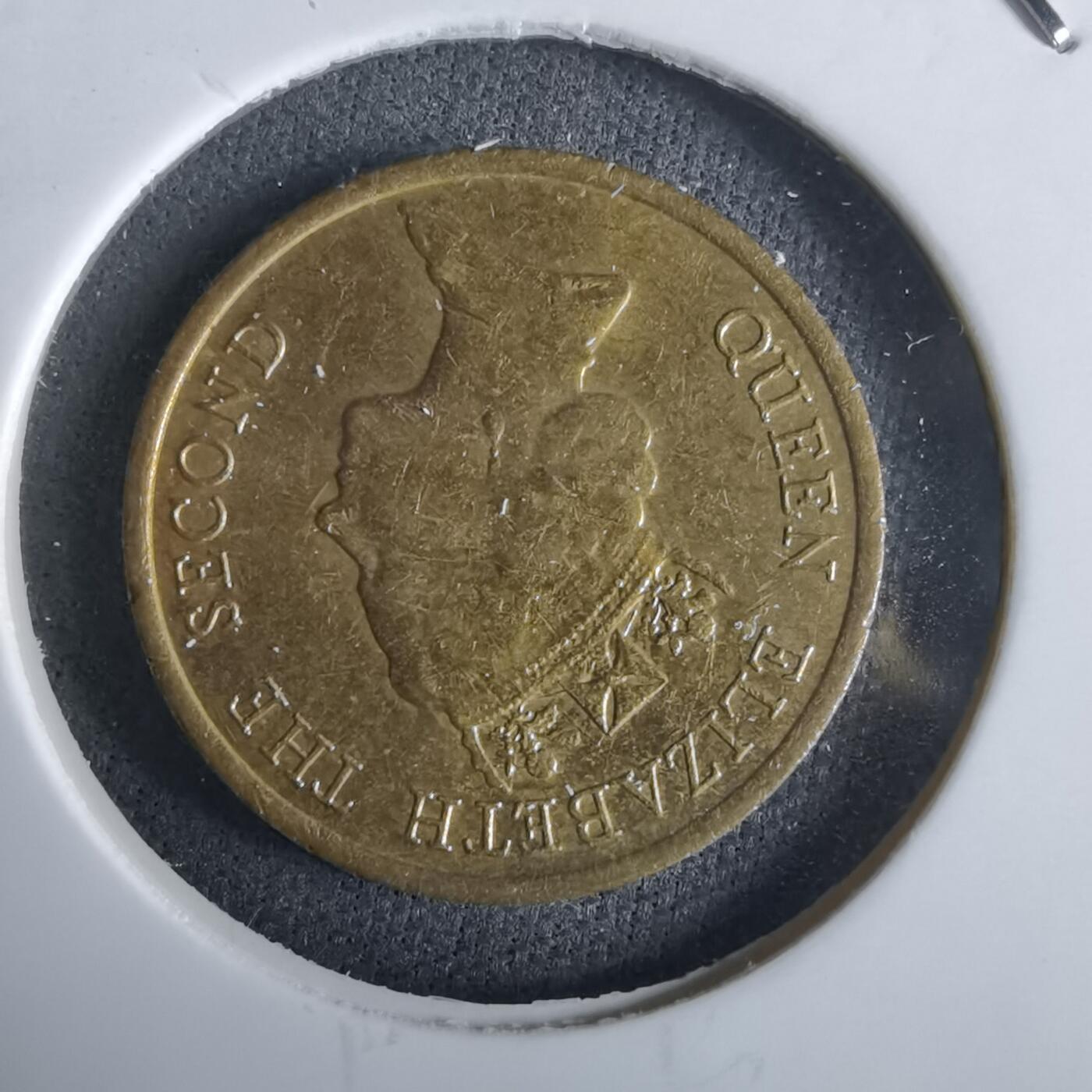 沼泽如烟--第963场