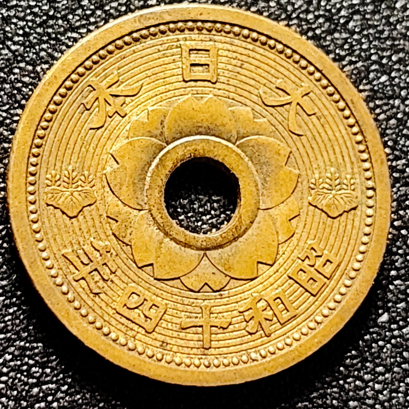 泉币菌-第171场- 精品福利场 。