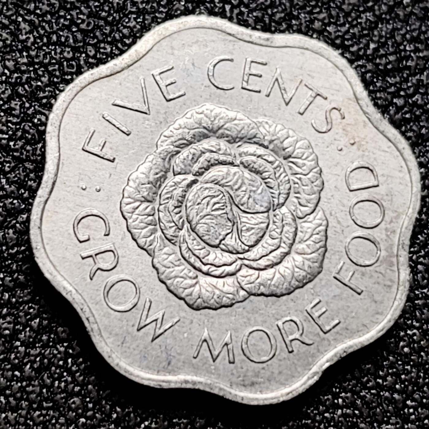 泉币菌-第171场- 精品福利场 。