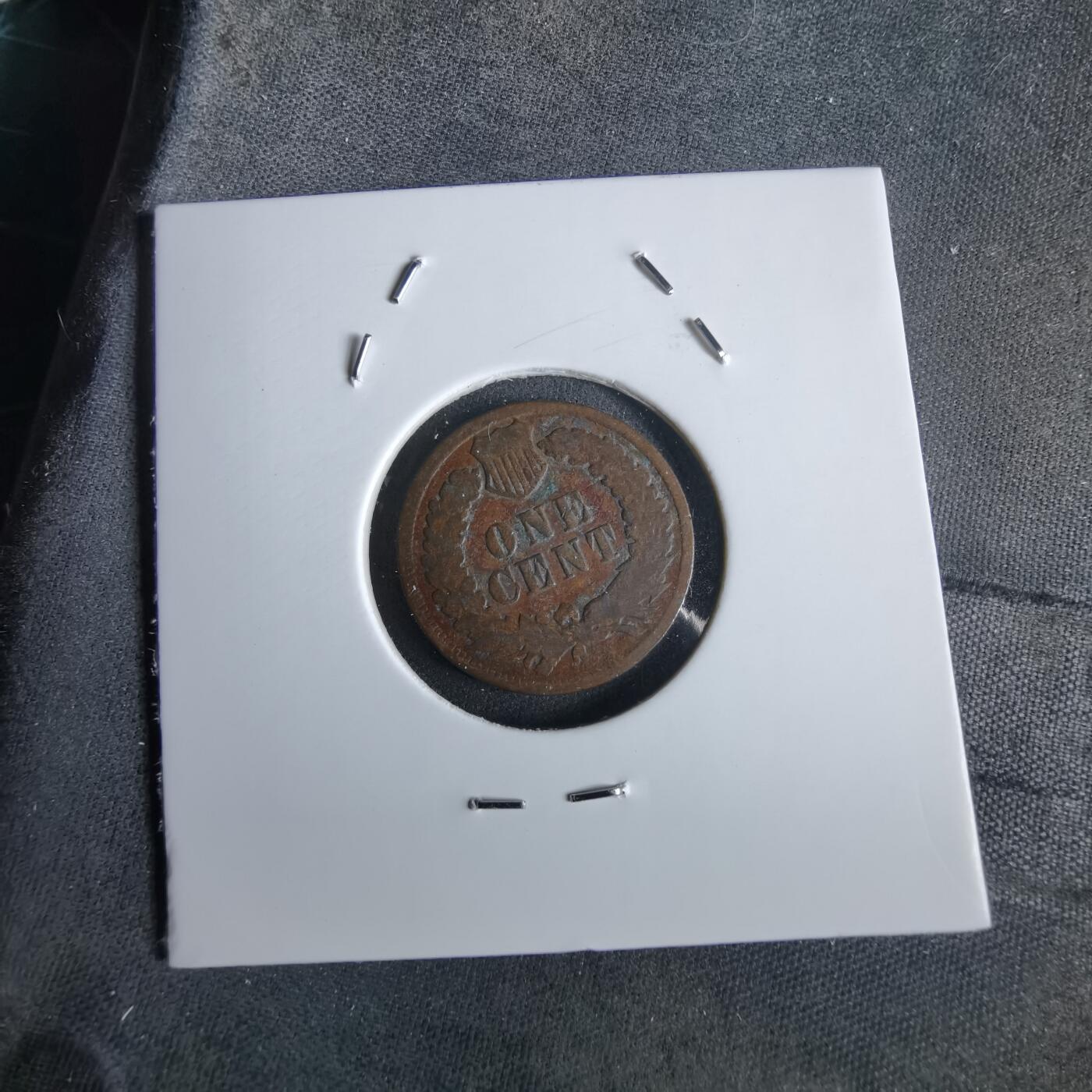 沼泽如烟--第963场