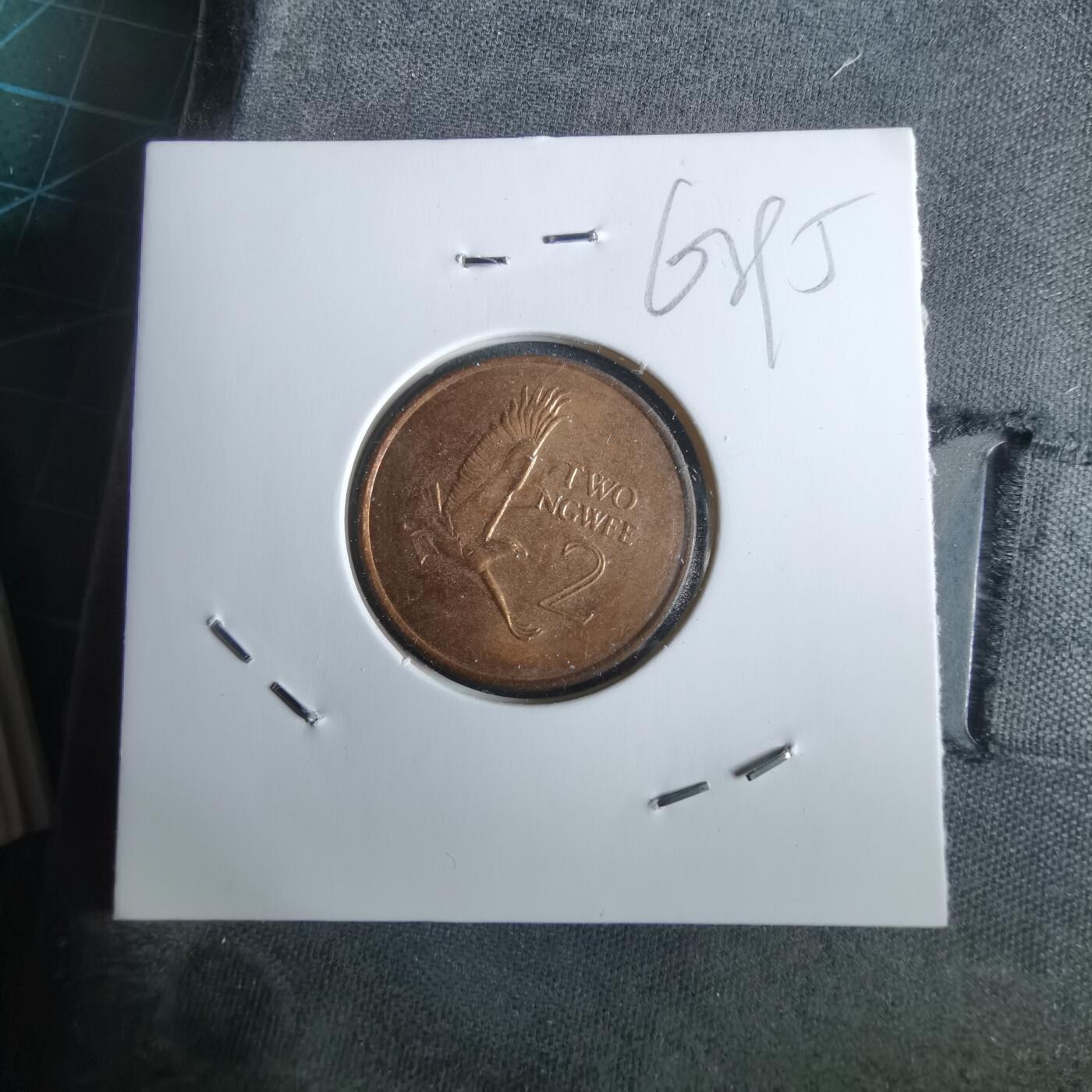 沼泽如烟--第963场