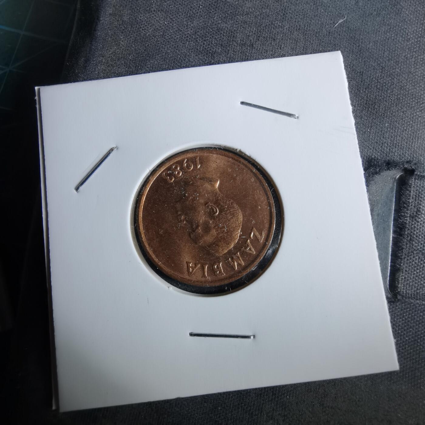 沼泽如烟--第963场