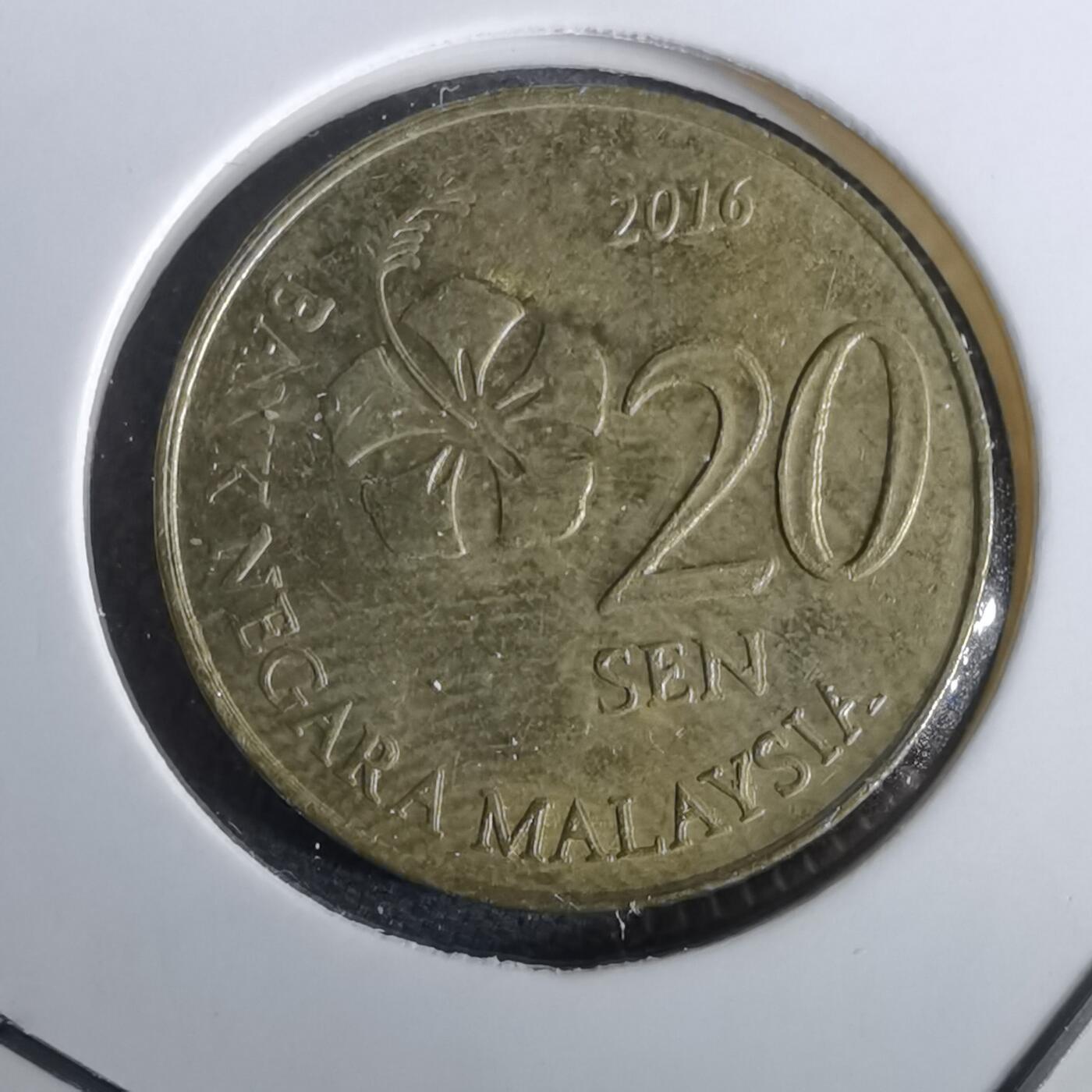 沼泽如烟--第965场