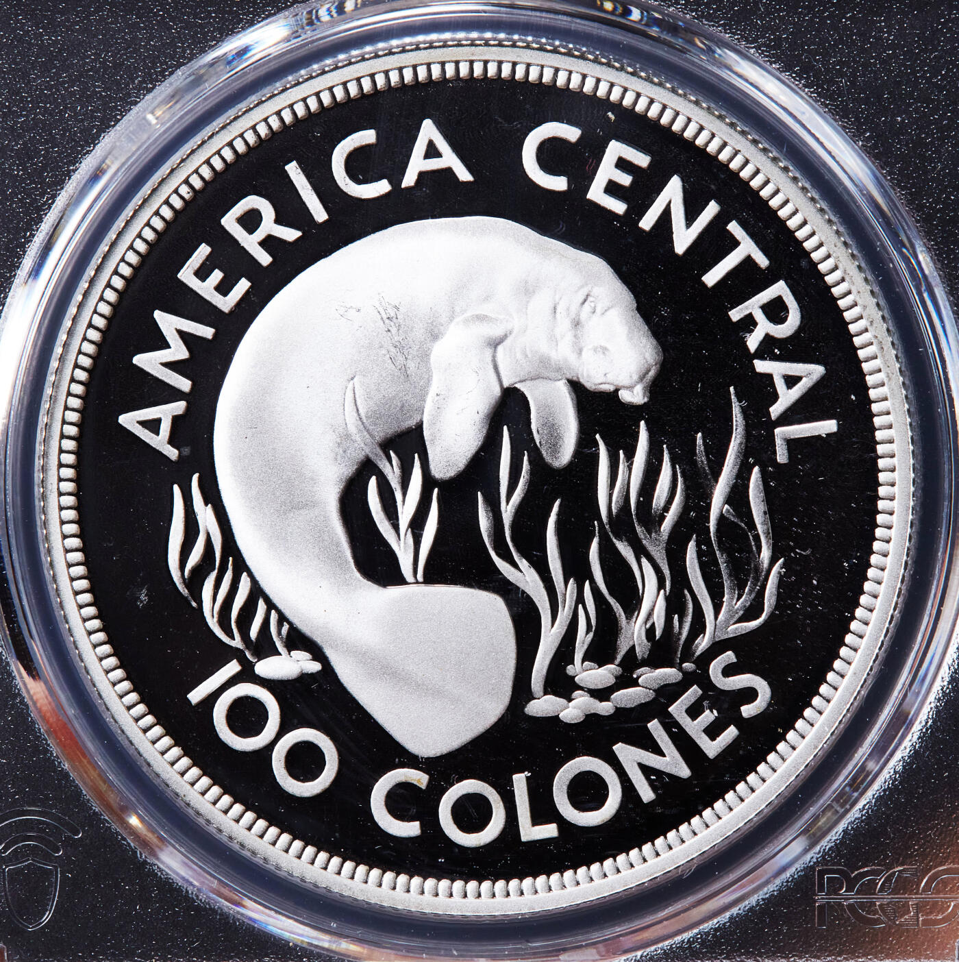 【俄甄集藏】“万象更新、马呈祥瑞”迎新春俄甄精品场-2026年(047)01-21 星期三 晚 19:30 全场包邮 哥斯达黎加1974年野生动物保护-海牛100科朗精制大银币，PCGS PR67DC，重35克，925银，发行量11000枚，憨态可掬