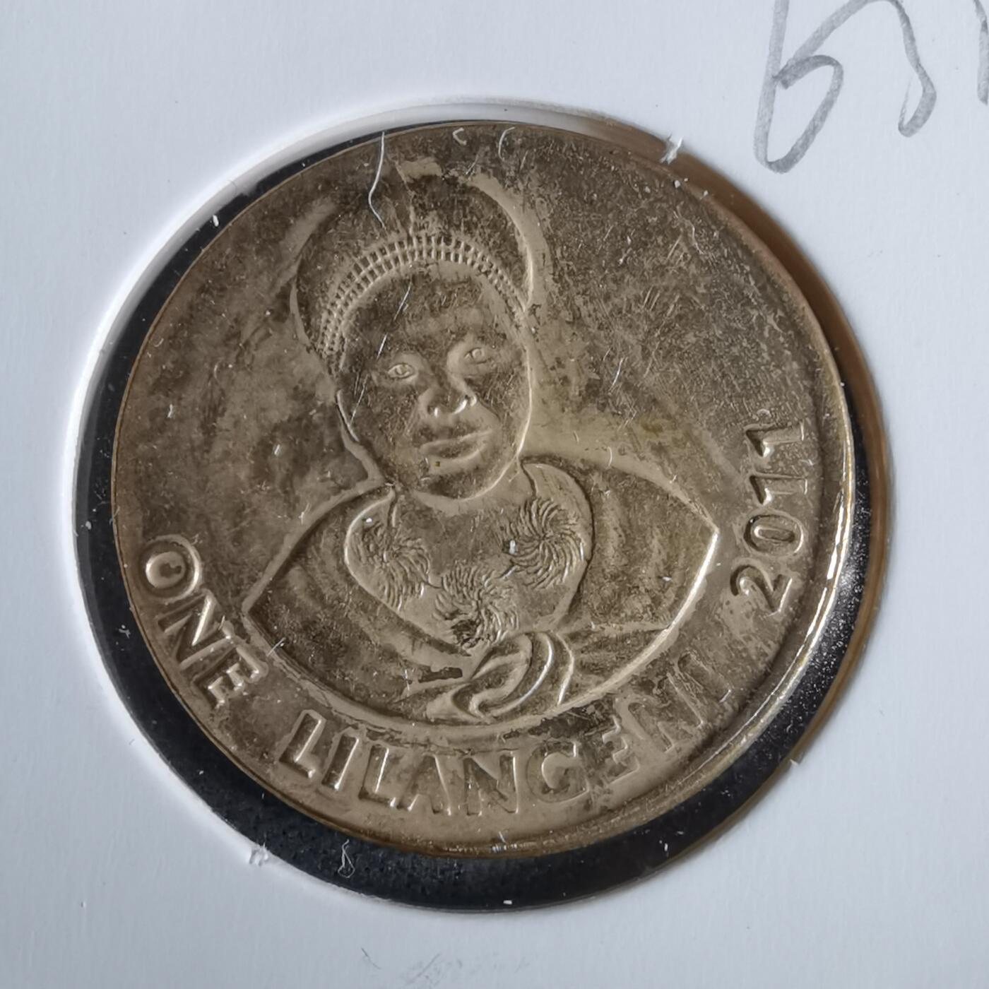 沼泽如烟--第963场