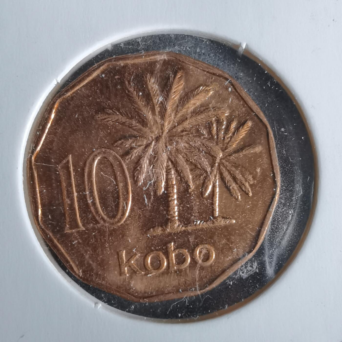 沼泽如烟--第963场