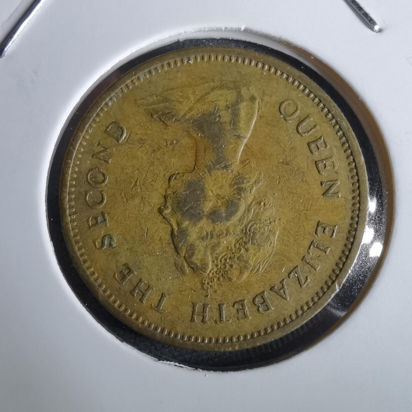 沼泽如烟--第963场