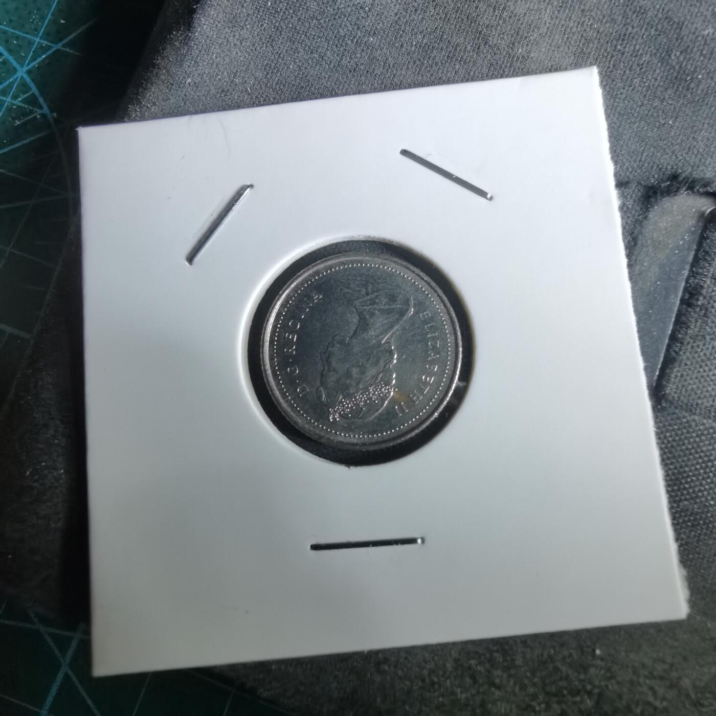 沼泽如烟--第965场