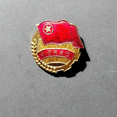 PCAI钱币  18-718  古钱铜板专场 - 证章