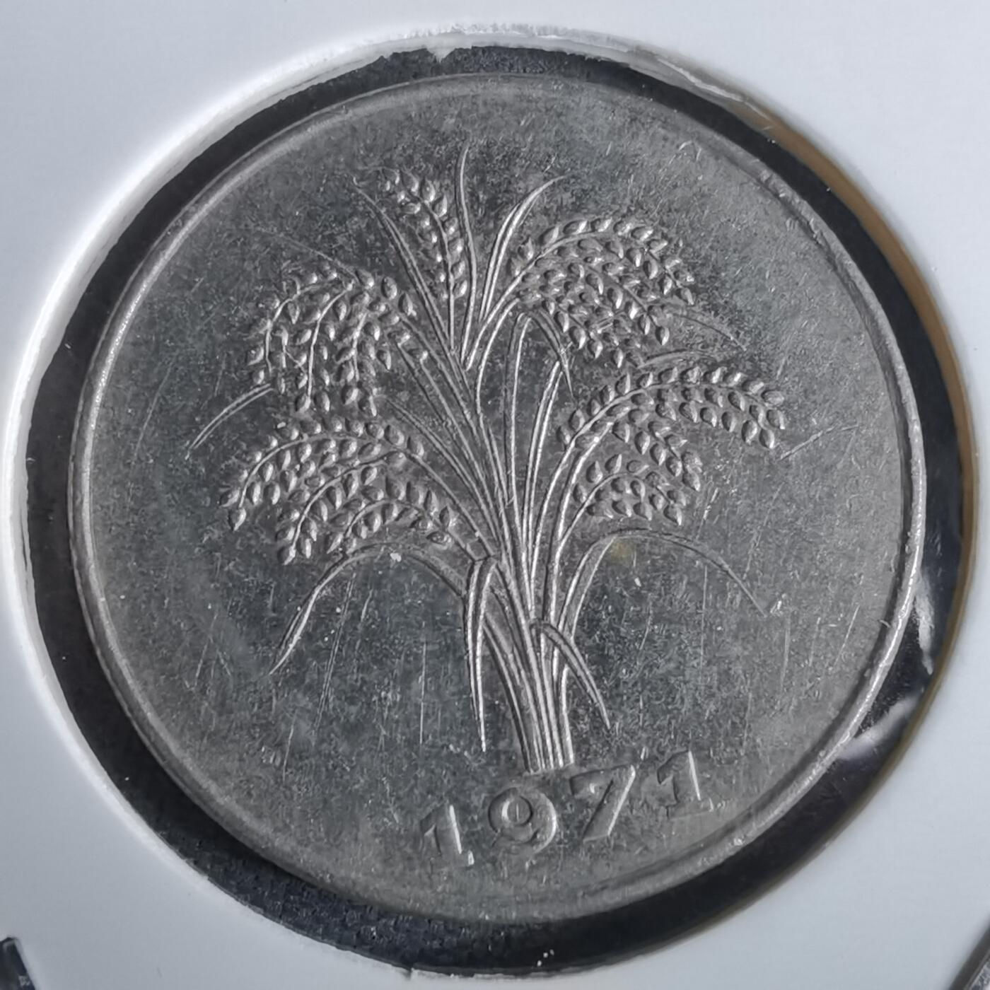 沼泽如烟--第963场