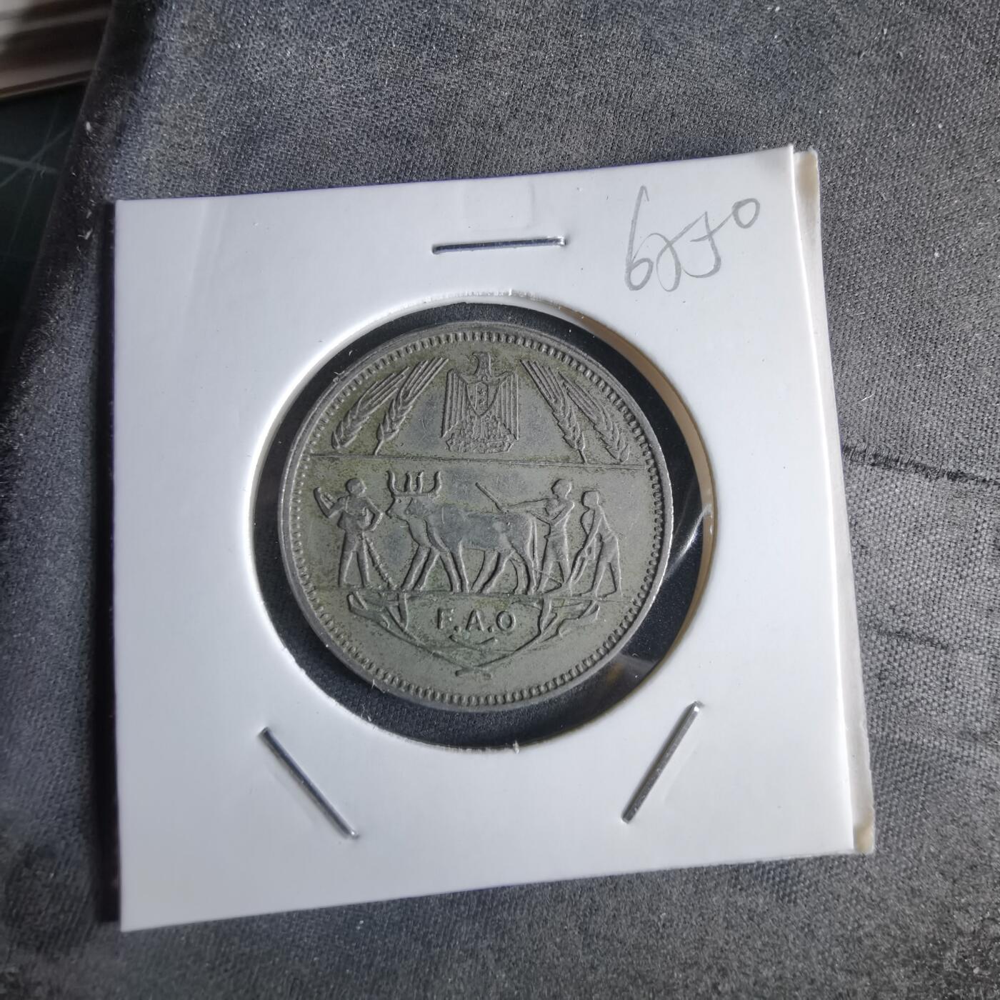 沼泽如烟--第965场