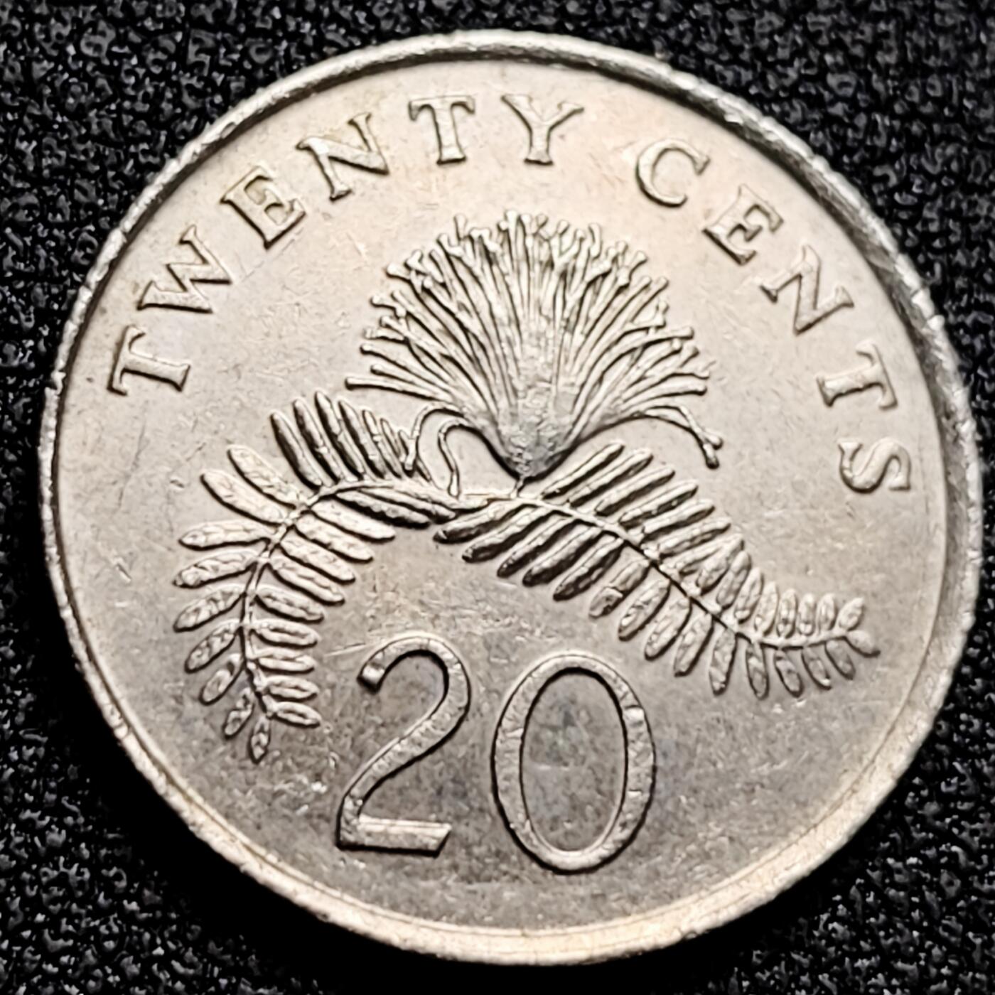 泉币菌-第171场- 精品福利场 。