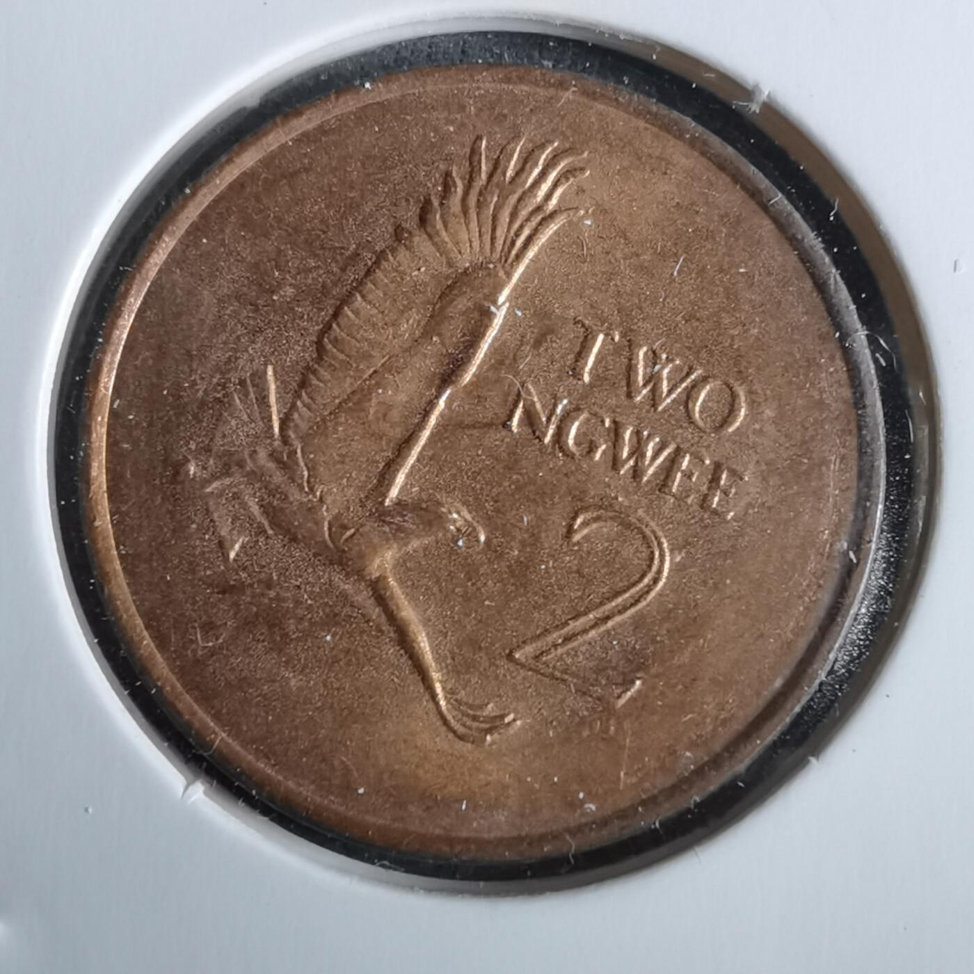 沼泽如烟--第963场