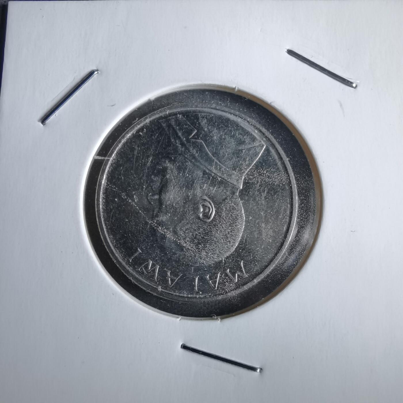 沼泽如烟--第963场