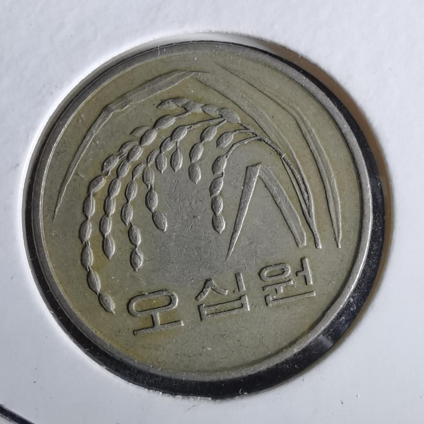 沼泽如烟--第965场